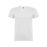  �������� Beagle �������