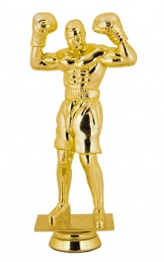 ������ ������