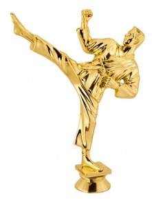 ������ ��������