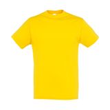    REGENT , 2XL, 100...