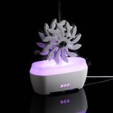  - Steam Spin, ...