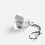  ������ Knoppa, �����