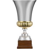  ����� Erfolg, �����������