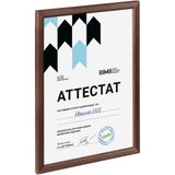  ����� Topnotch, �����