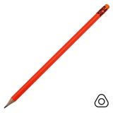  �������� �������������� ����������� TRIN...