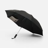  ���� ��������� �������� Easyroll, ������