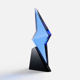  ����� Flash Forward