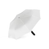  �������� ���� �������