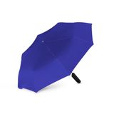  �������� ���� �������